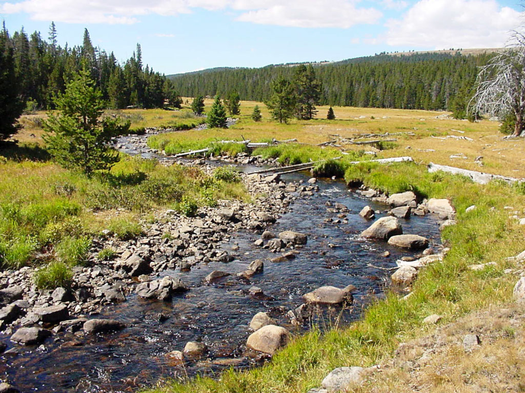 river | Wyoming Stock Growers Land Trust