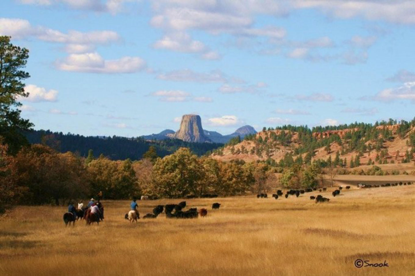 Private Lands at Devils Tower Conserved in Perpetuity
