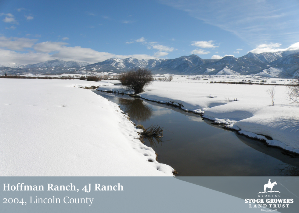 Inspired by the Land Hoffman Ranch, 4J Ranch Wyoming Stock Growers
