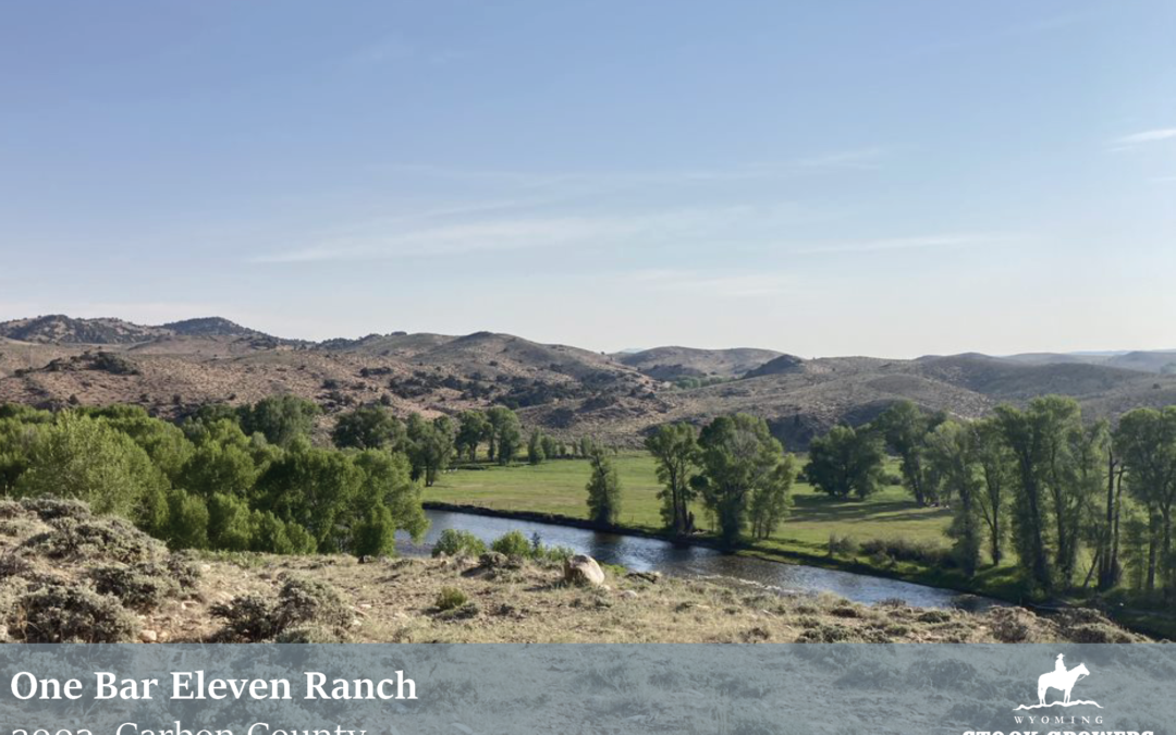 From the Ground Up: One Bar Eleven Ranch